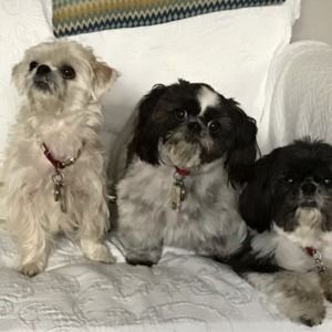 Meet your Posher, Margery